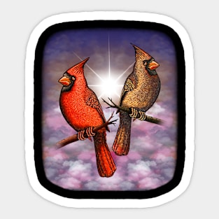 Red Cardinal bird cute red birds in love Sticker